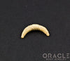4g Fossilized Mammoth Ivory Septum Tusk