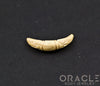 4g Fossilized Mammoth Ivory Septum Tusk