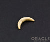 4g Fossilized Mammoth Ivory Septum Tusk
