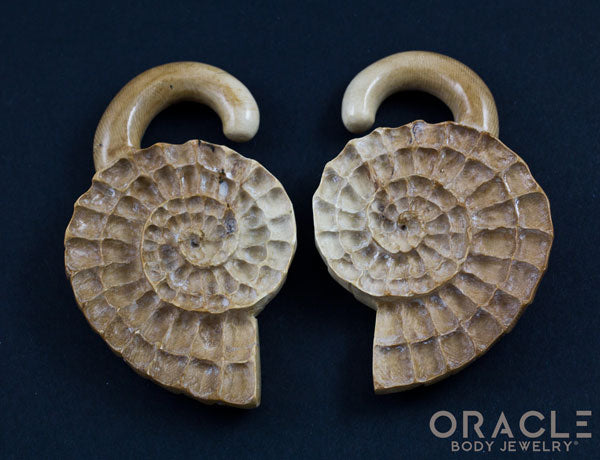 7/16" (11mm) Fossilized Mammoth Ivory Ammonites