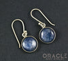 Sterling Silver Kyanite Standard Earring