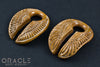 5/8" (16mm) Fossilized Mammoth Ivory Split Wings