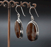 Sterling Silver Crazy Lace Agate Earrings