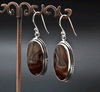 Sterling Silver Crazy Lace Agate Earrings