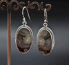 Sterling Silver Crazy Lace Agate Earrings