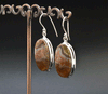 Sterling Silver Crazy Lace Agate Earrings