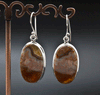 Sterling Silver Crazy Lace Agate Earrings