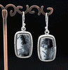 Sterling Silver Dendritic Opal Earrings