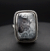 Sterling Silver Dendritic Opal Ring Size 6