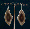 Sterling Silver Imperial Jasper Earrings