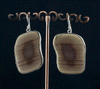 Sterling Silver Imperial Jasper Earrings