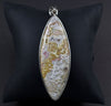 Sterling Silver Crazy Lace Agate Pendant