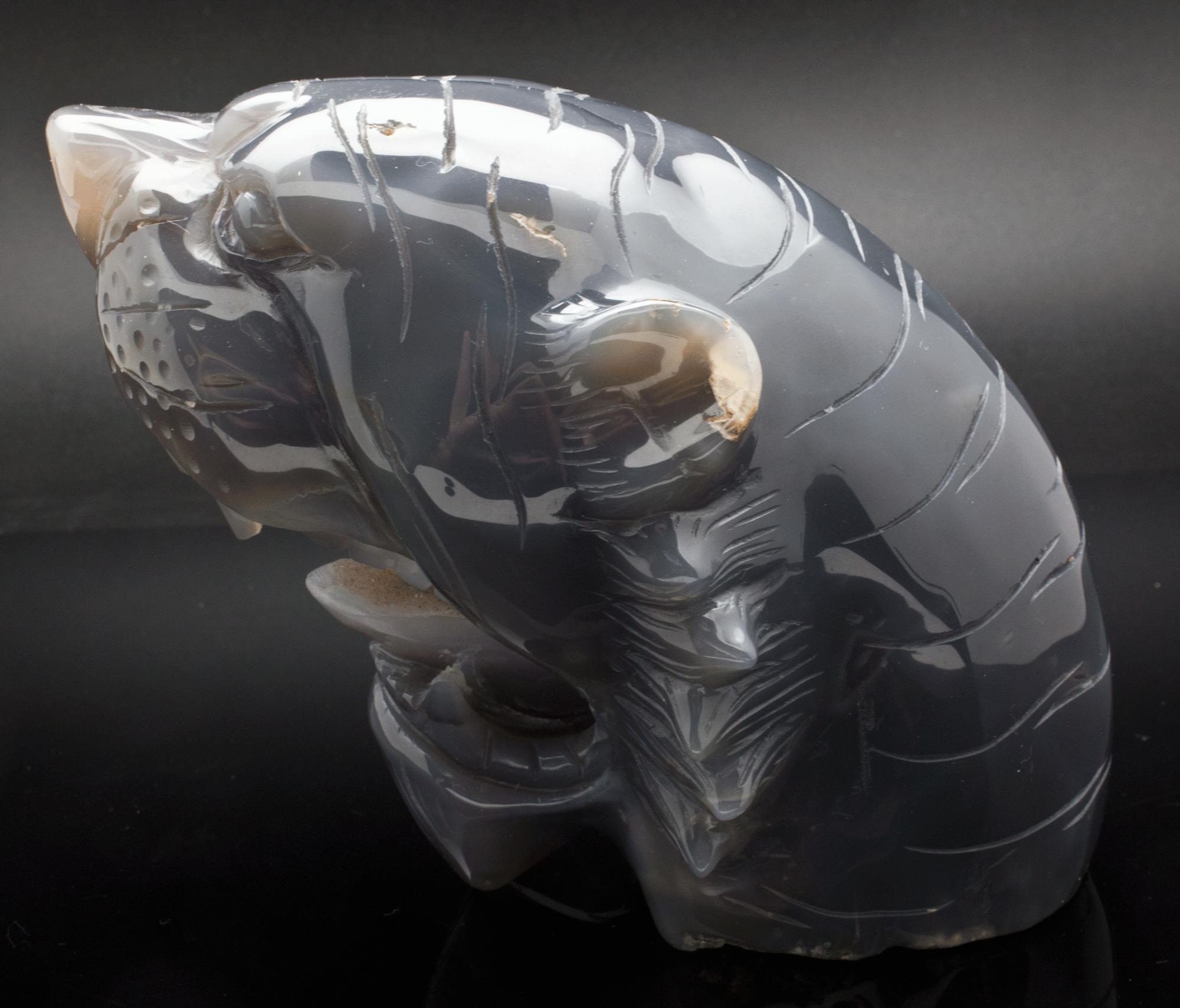Grey Druzy Agate Carved Tiger