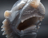 Grey Druzy Agate Carved Tiger