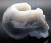 Druzy Agate Skull Carving