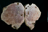 Pink Amethyst Sliced Specimen on Stand