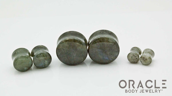 Gray Labradorite Double Flare Plugs