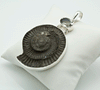Steel Ammonite and Green Amethyst Pendant