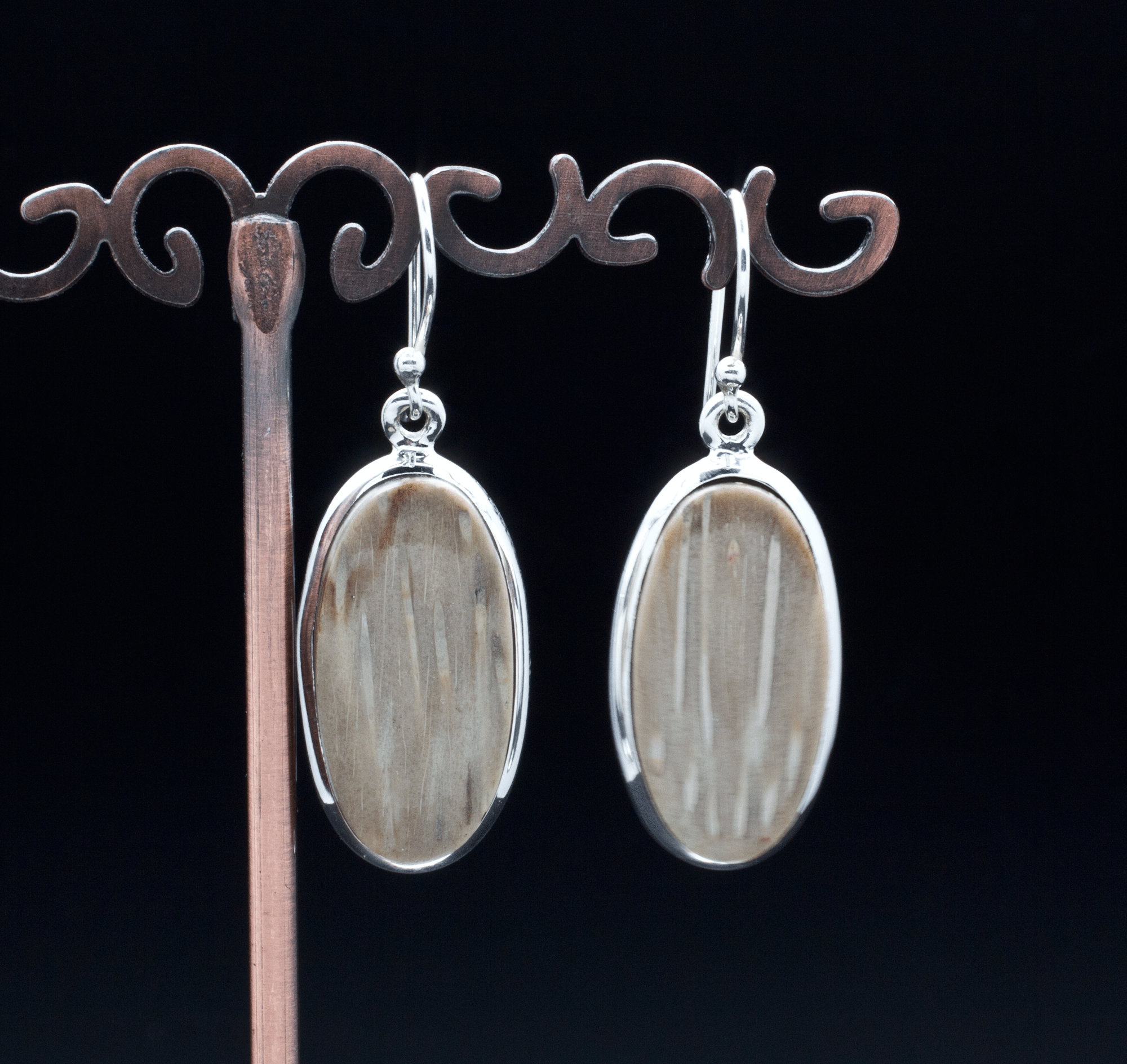 Sterling Silver Petrified Palm Wood Earrings