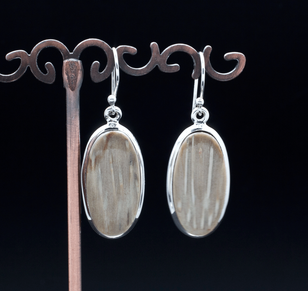Sterling Silver Petrified Palm Wood Earrings