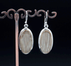 Sterling Silver Petrified Palm Wood Earrings