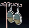 Sterling Silver Wildhorse Picture Jasper Earrings