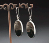 Sterling Silver Ocean Jasper Earrings