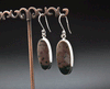 Sterling Silver Ocean Jasper Earrings