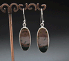 Sterling Silver Ocean Jasper Earrings