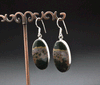 Sterling Silver Ocean Jasper Earrings