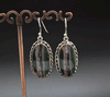 Sterling Silver Ocean Jasper Earrings