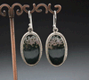 Sterling Silver Ocean Jasper Earrings