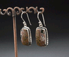 Sterling Silver Ocean Jasper Earrings