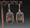 Sterling Silver Ocean Jasper Earrings