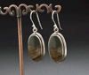 Sterling Silver Wildhorse Picture Jasper Earrings