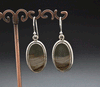 Sterling Silver Wildhorse Picture Jasper Earrings