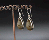 Sterling Silver Wildhorse Picture Jasper Earrings