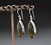 Sterling Silver Wildhorse Picture Jasper Earrings