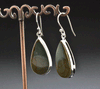 Sterling Silver Wildhorse Picture Jasper Earrings