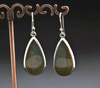 Sterling Silver Wildhorse Picture Jasper Earrings