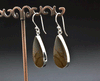 Sterling Silver Wildhorse Picture Jasper Earrings