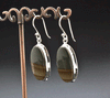 Sterling Silver Wildhorse Picture Jasper Earrings