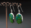 Sterling Silver Turquoise Earrings