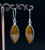 Sterling Silver Yellow Tiger Eye Earrings
