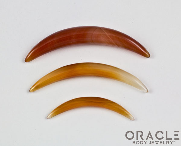Carnelian Septum Tusk