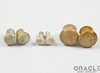 Fossilized Coral Single Flare Plugs
