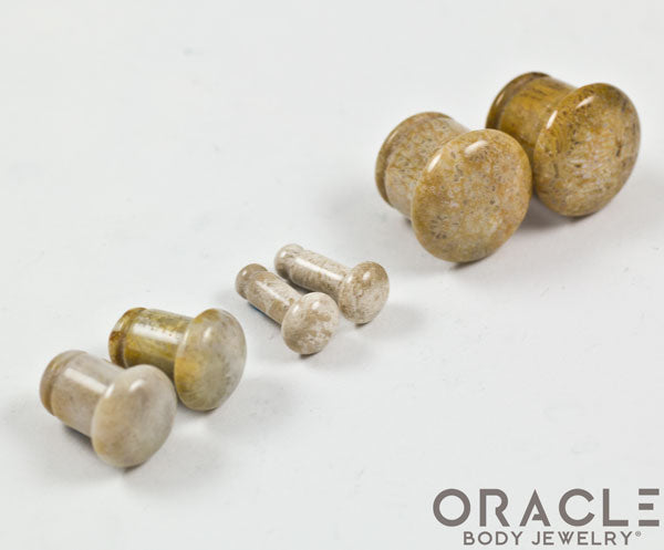 Fossilized Coral Single Flare Plugs