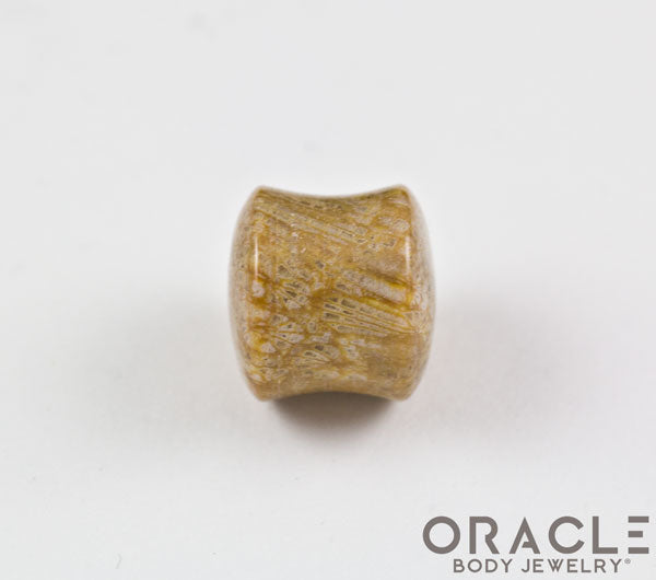 Fossilized Coral Double Flare Plugs