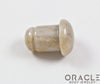 Fossilized Coral Single Flare Plugs