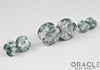 Green Tree Agate Double Flare Plugs